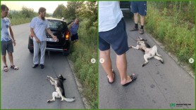 FOTO // Preotul care a târât un câine în urma mașinii a fost exclus din clerul Bisericii Ortodoxe din Moldova